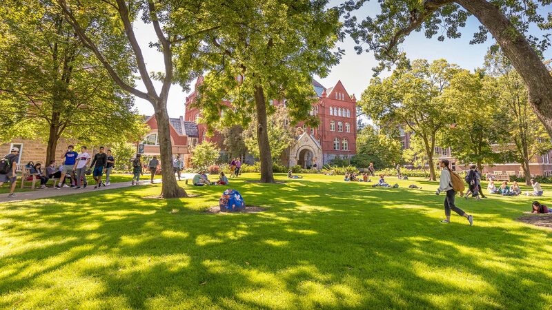Tree-lined campus quad