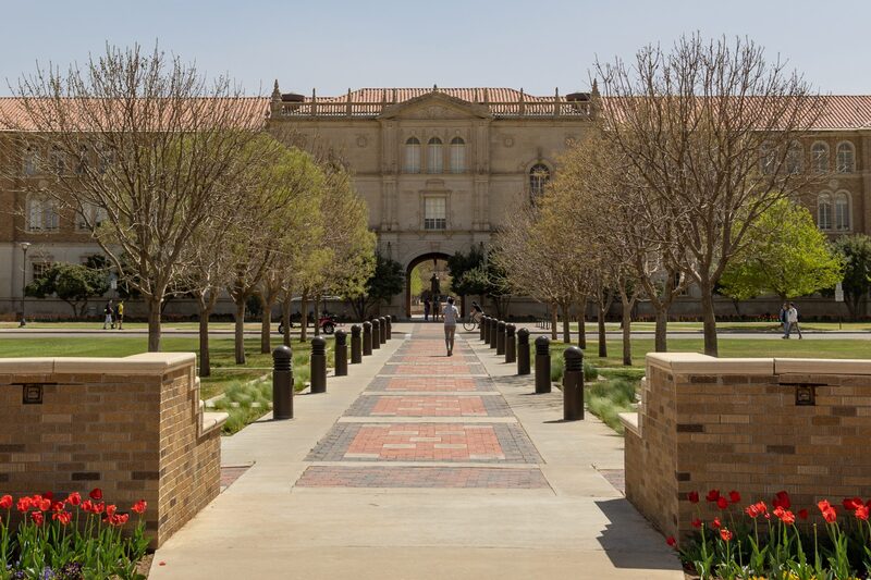 Students walking across campus